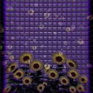 Meet your Posher, Alexa